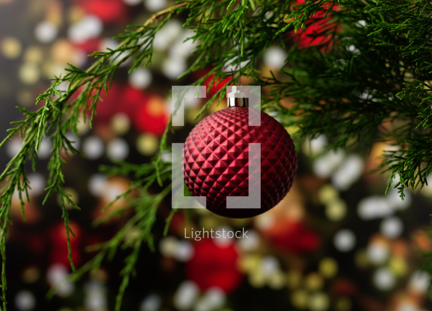 Red Christmas Ornament on Tree Branch with Christmas Lights and Tree in the Background