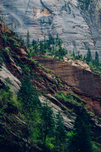trees growing on the sides of steep cliffs 