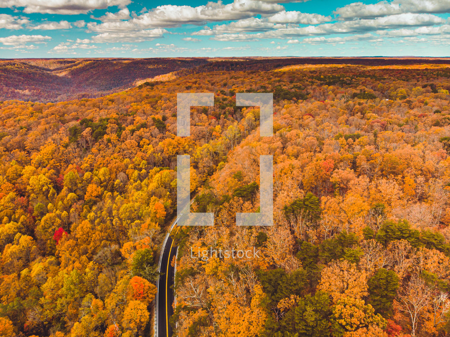 aerial view over a road through an autumn forest 