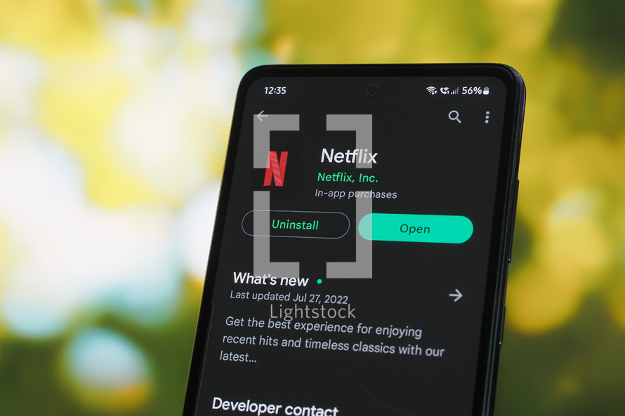 Netflix app on a smartphone 
