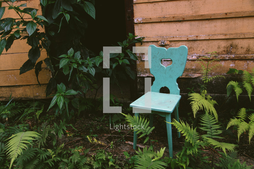 teal chair outdoors in ferns 