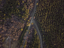 aerial view over a highway and forest 