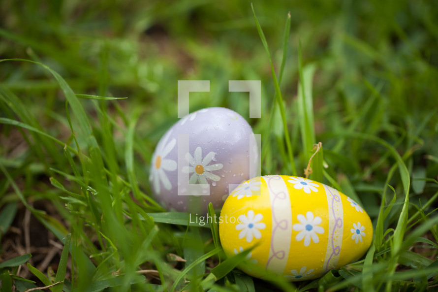 decorated Easter eggs in green grass