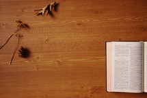 dried fall leaves on open Bible on a table 