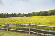 fence in front of a field of tall green grasses 