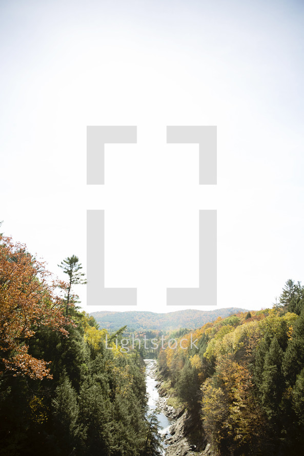 river through a mountain forest 