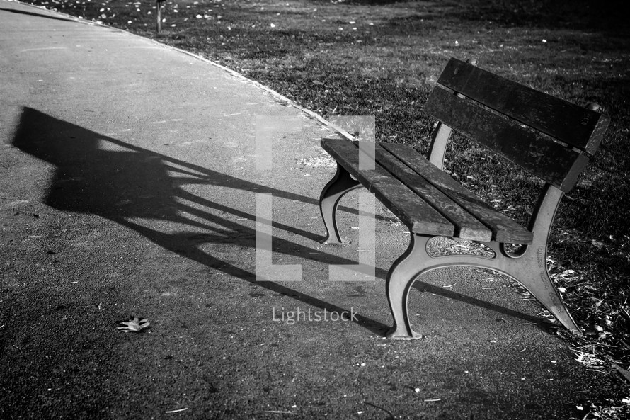 Lonely park bench. Black and white image
