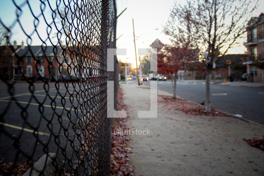 chain link fence lining a sidewalk in fall 