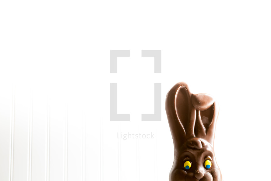 disappearing chocolate Easter bunny