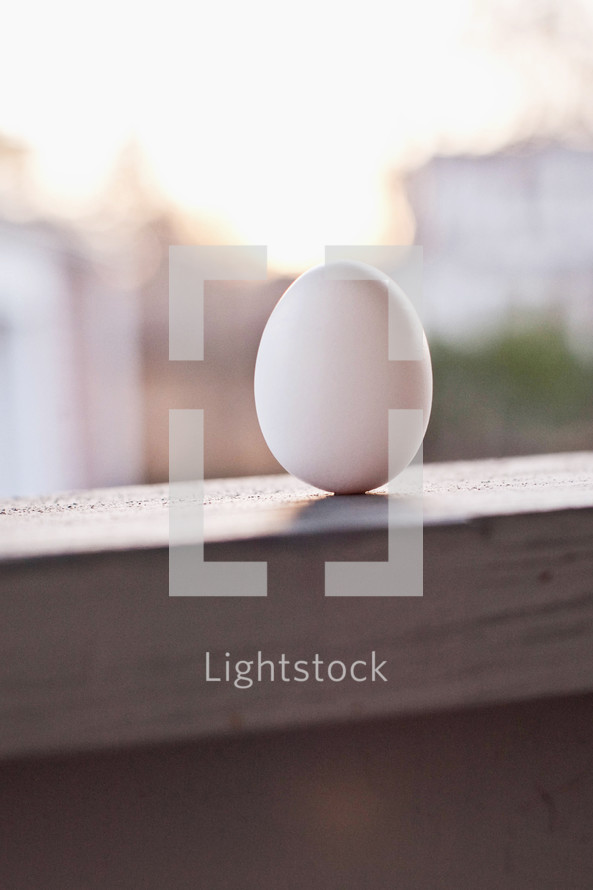 egg in a window sill 