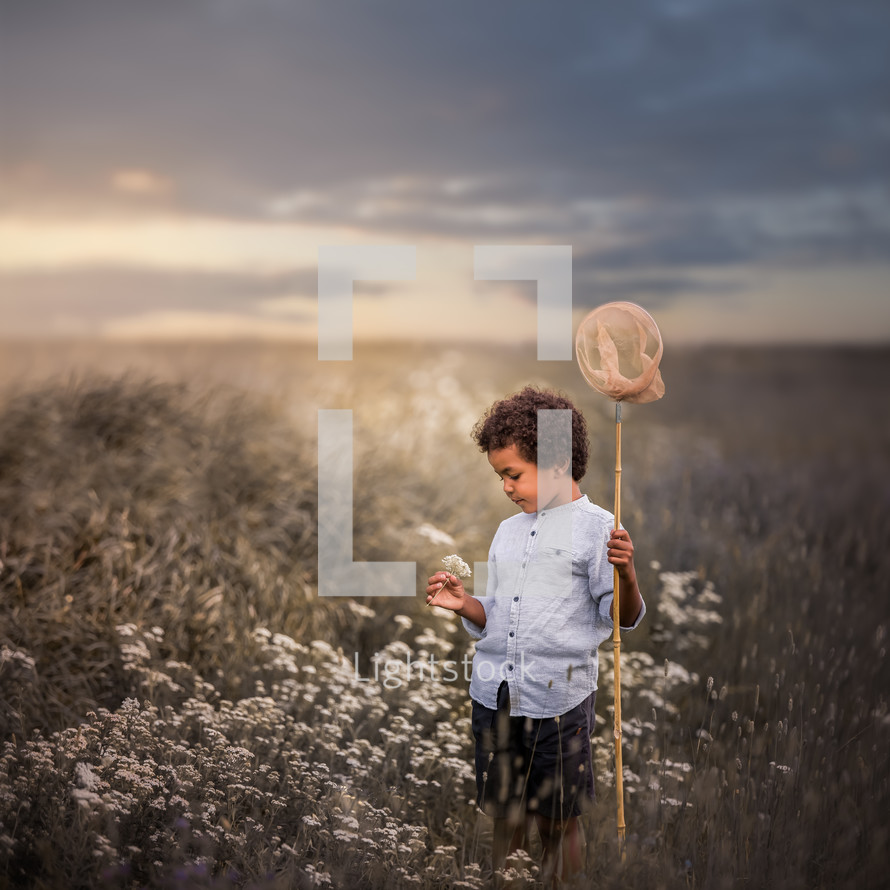 a little boy in a field with a bug net 