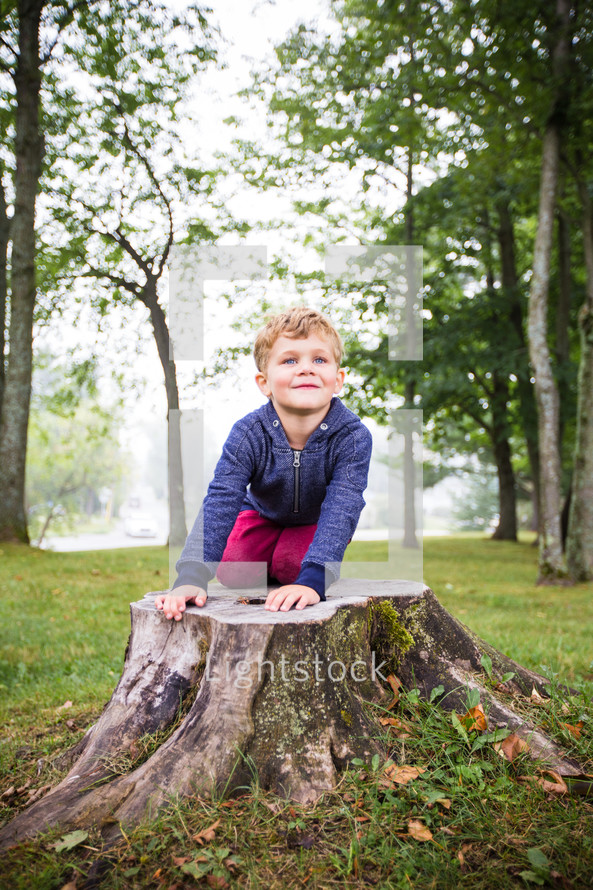 a child on a tree stump 