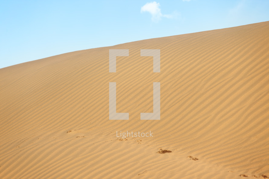 tracks on desert sand 