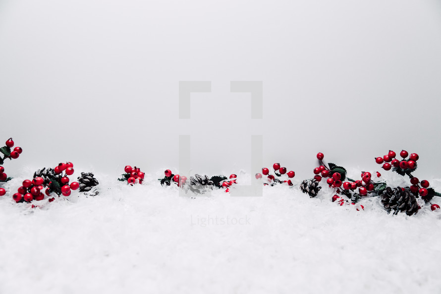 red berries and pine cones in snow 