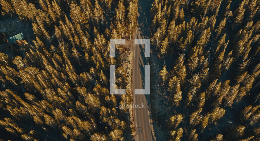 aerial view of a road through a forest 