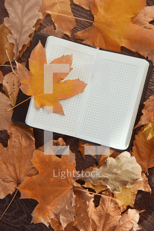 brown fall leaves and open notebook 