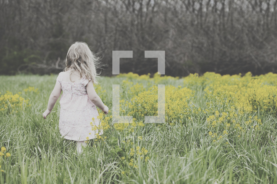 toddler girl in a field of tall grasses and wildflowers 