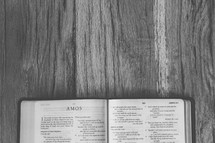 Bible opened to Amos