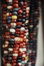 colorful corn kernels