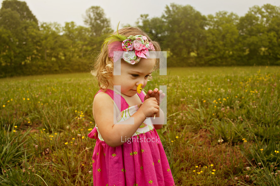 toddler girl in a field smelling a dandy lion flower