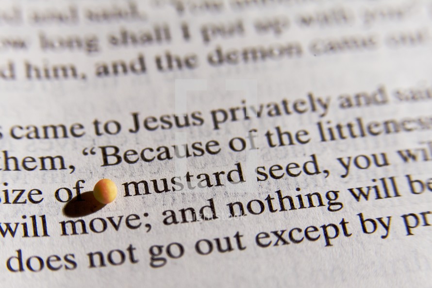 A mustard seed rests next to the words 'Mustard Seed' in the Bible.  Matthew 17:20