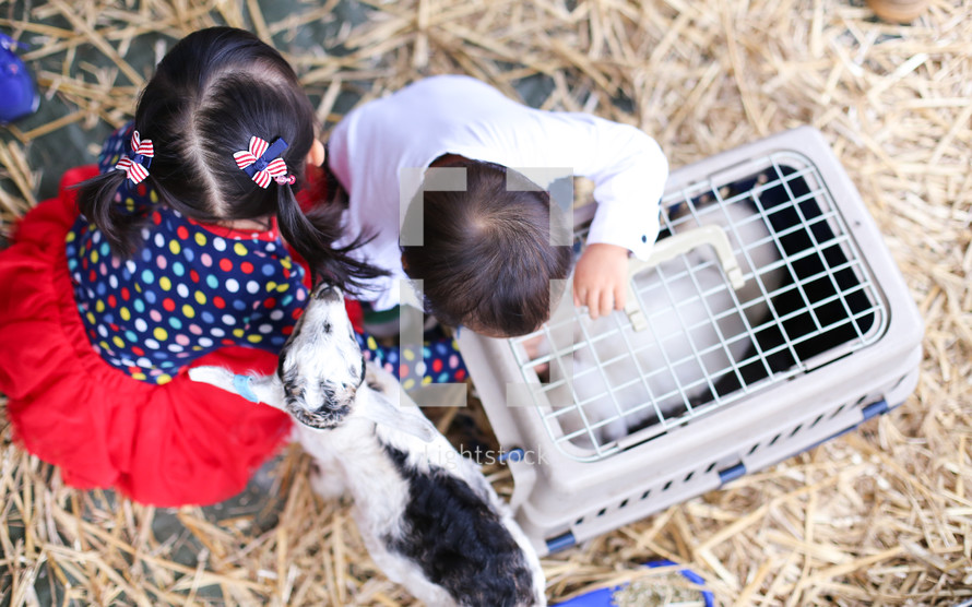 children at a petting zoo 