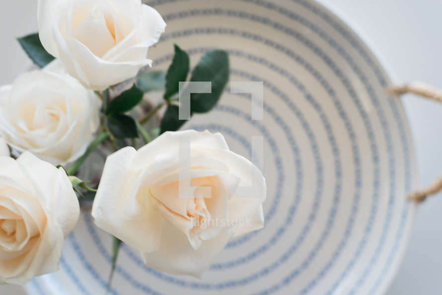 White roses on a blue and white plate.