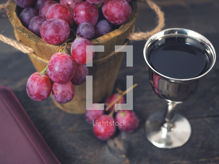 wine and red grapes 