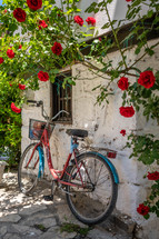 red roses and old bike 