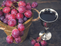 wine and red grapes 