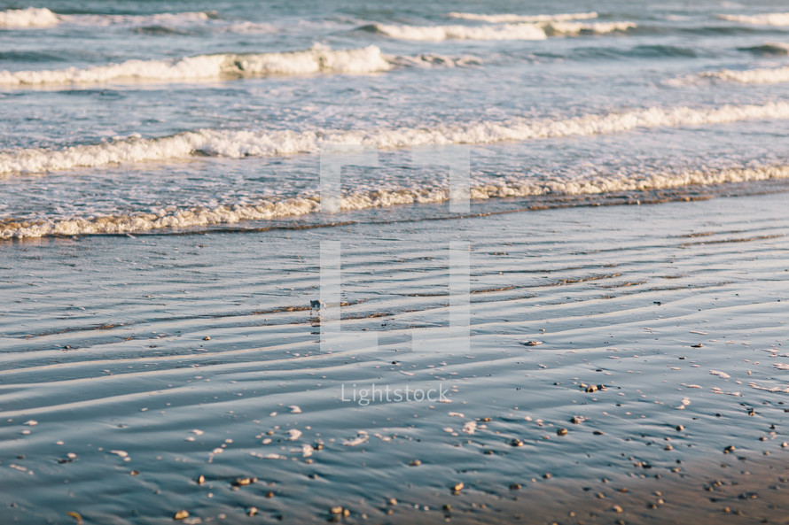 tide washing onto a beach and seashells 