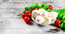 Mozzarella cheese on on rustic background. 