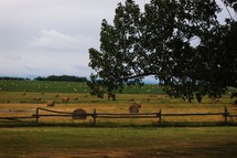 hay bales in a field 