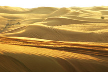 sand dunes in the Sahara desert 
