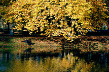 man resting on the shore of a lake on a fall day 