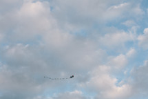 kite in the sky 