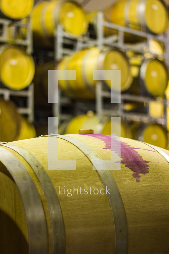 wine barrels in a winery 