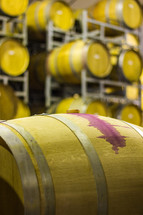 wine barrels in a winery 