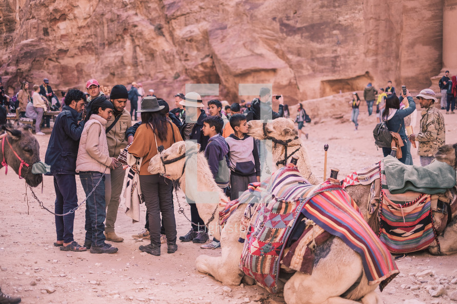 people with camels and donkeys in a desert 