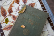 Vintage "Book of Birds" on a mosaic table outside.