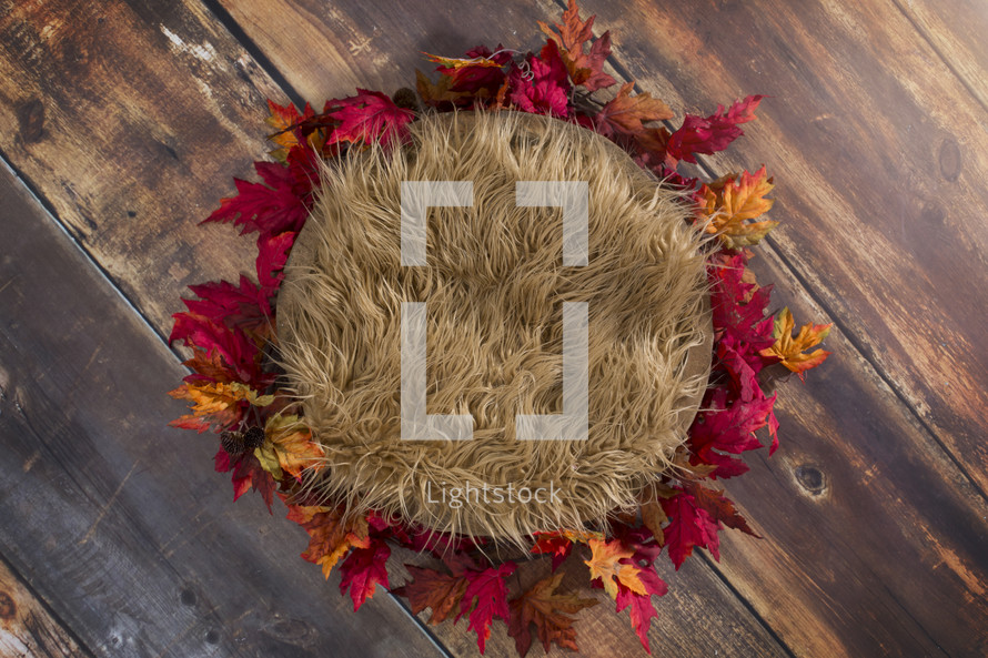 fur rug and fall leaves 