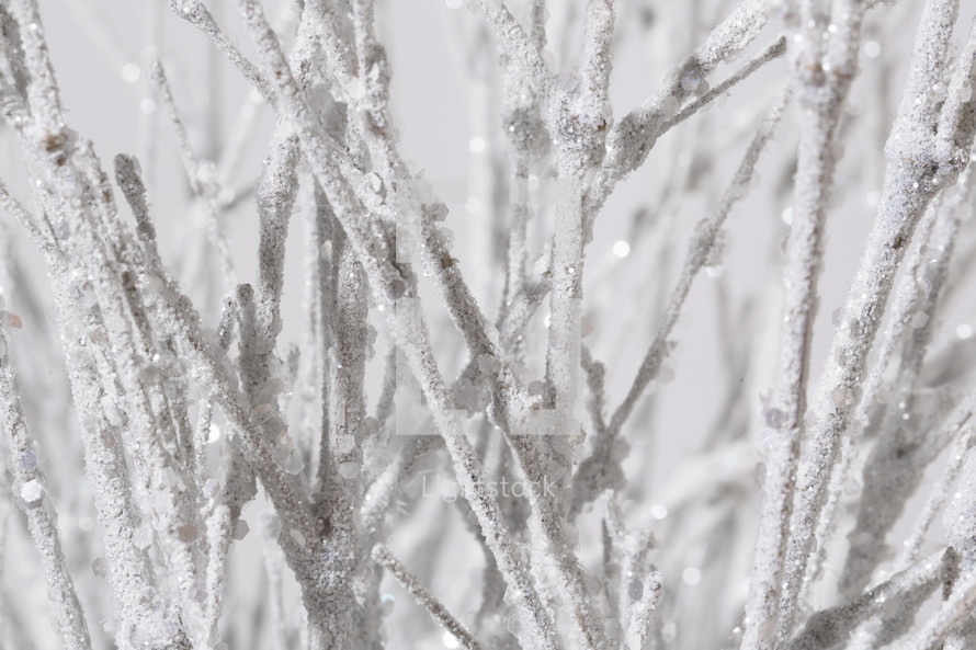 frosted branches 
