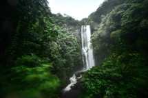 jungle waterfall 