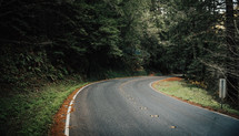 curve on a rural road 