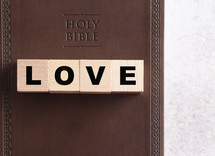 Holy Bible and word love 