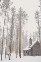 Snowfall on a cabin in the woods with lofty trees.