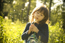 girl child blowing on a dandelion 