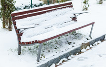 Bench covered with snow in the park on the March day.
