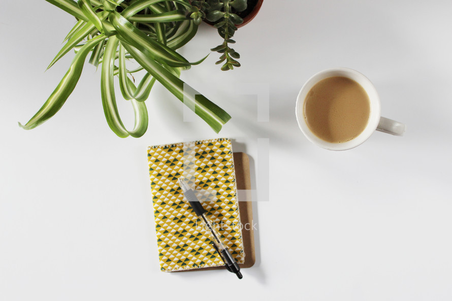 notebooks, pen, Bible, coffee cup, and house plant on a desk 