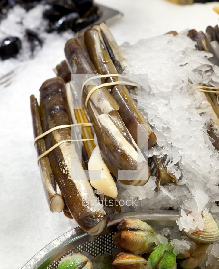 Razor clams on ice for sale at market